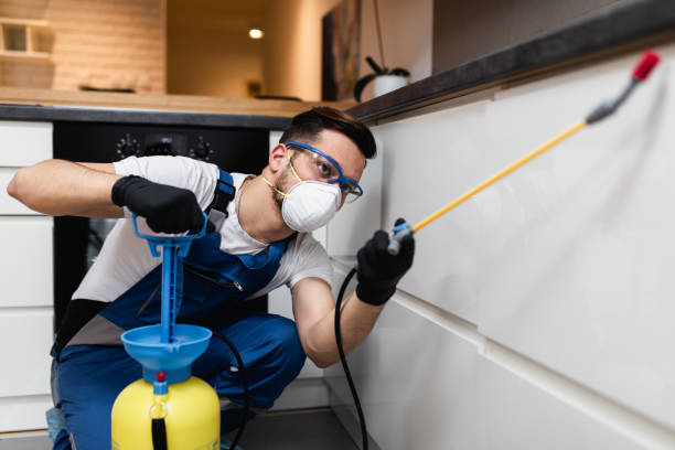 Best Pest Prevention Services  in Fulton, MS