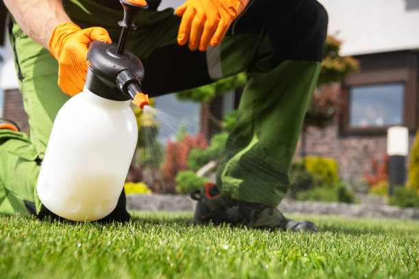 Best Flea Control Services  in Fulton, MS