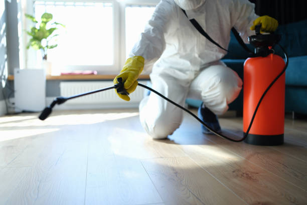 Professional Pest Control in Fulton, MS